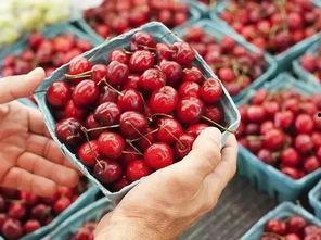 积雪吃瓜,冬日里的甜蜜惊喜