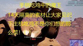 呆瓜吃鸡动漫,一场欢乐的动漫冒险之旅