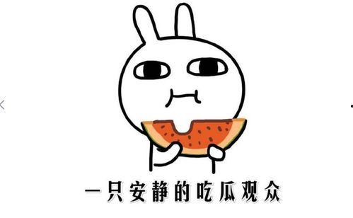 抖音果儿吃瓜,揭秘网红美食背后的故事