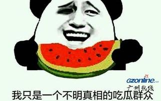 吃瓜真吗,网络热词背后的真相与反思